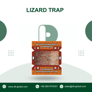Lizard Trap
